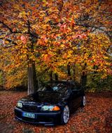 BMW E46 325i (Tausch möglich) - BMW 325 in Rostock