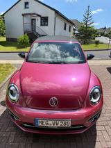Volkswagen Beetle 1.2 TSI BMT Cabriolet - Pink Edition - VW Beetle von privat