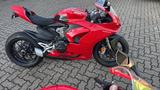 Ducati Panigale V2 + viele Extras - DUCATI PANIGALE V2