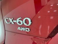 Mazda CX-60 - Vorschau Bild 12