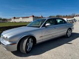 Jaguar XJ Super V8 LWB - - Jaguar XJ mit Benzin-Antrieb