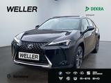 Lexus UX 250h Style Edition *Bi-LED*ACC*CAM*SHZ*CarPla - Lexus Gebrauchtwagen in Stuttgart