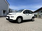 Fiat New Panda 1.0 Hybrid *Klimaanlage DAB+ ESP Funk* - Fiat New Panda Gebrauchtwagen