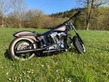 Harley-Davidson Softail - Offers