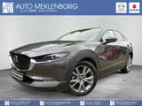 Mazda CX-30 2.5l "Centre-Line" "DES-P" "NAVI" - Mazda CX-30 Centre-line mit Hybrid-Antrieb (Benzin/Elektro)