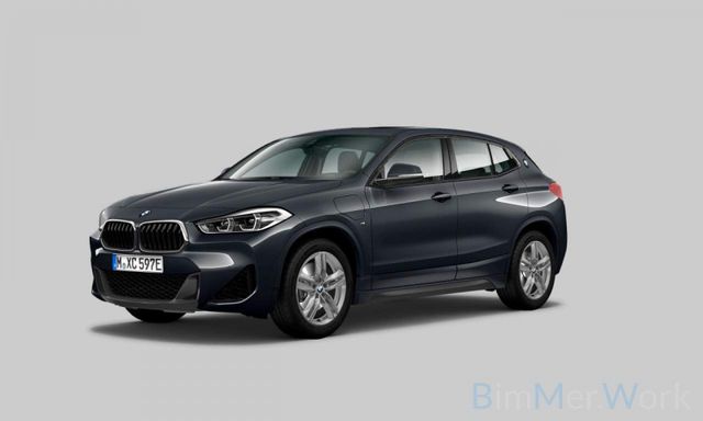 BMW X2 xD25e M Sport DAB Kamera LED HiFi Panorama