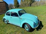 Volkswagen Käfer - Volkswagen Käfer: Sportwagen