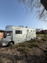 MAN 7,5t Pferdetransporter | bis 3 Pferde | TÜV  - MAN 7 5 t