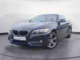 BMW 218i Cabrio Sport Line Sportsitze LM PDC Sitzh. - BMW 218 aus 2016