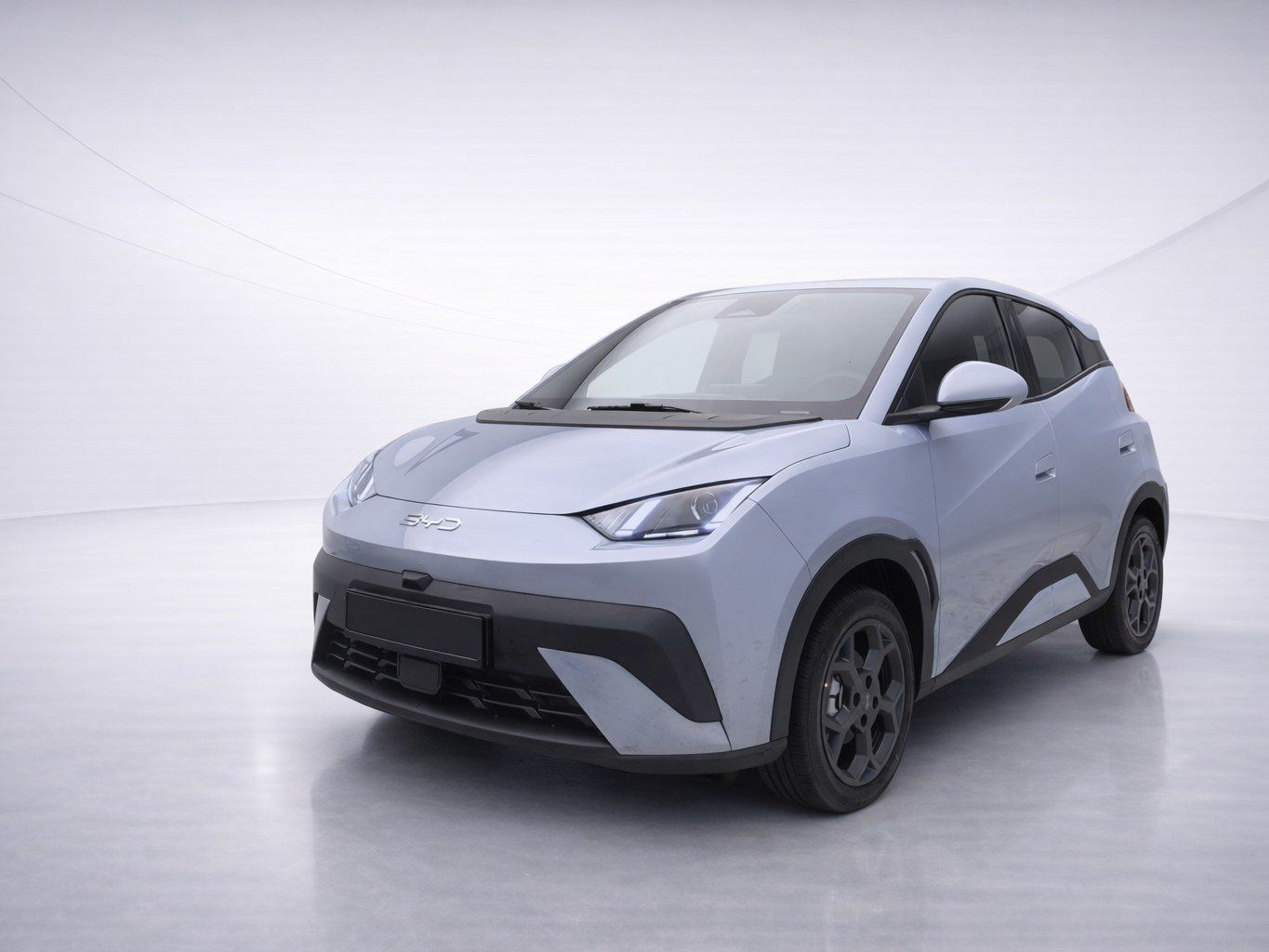 BYD DOLPHIN SURF