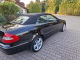 Mercedes-Benz CLK 200 KOMPRESSOR Cabrio AVANTGARDE - Mercedes-Benz CLK 200 aus 2008