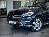 Mercedes-Benz ML 350 4Matic *AMG*Memory*Kamera*Totwinkel*Spur* - Mercedes-Benz ML-Class: Geländewagen