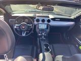 Ford Mustang 2.3 EcoBoost Auto - - Ford Mustang: 3.3