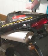 Bimota SB8R Edizione Speciale 1. Hand 5TKM  - BIMOTA MOTORRAD