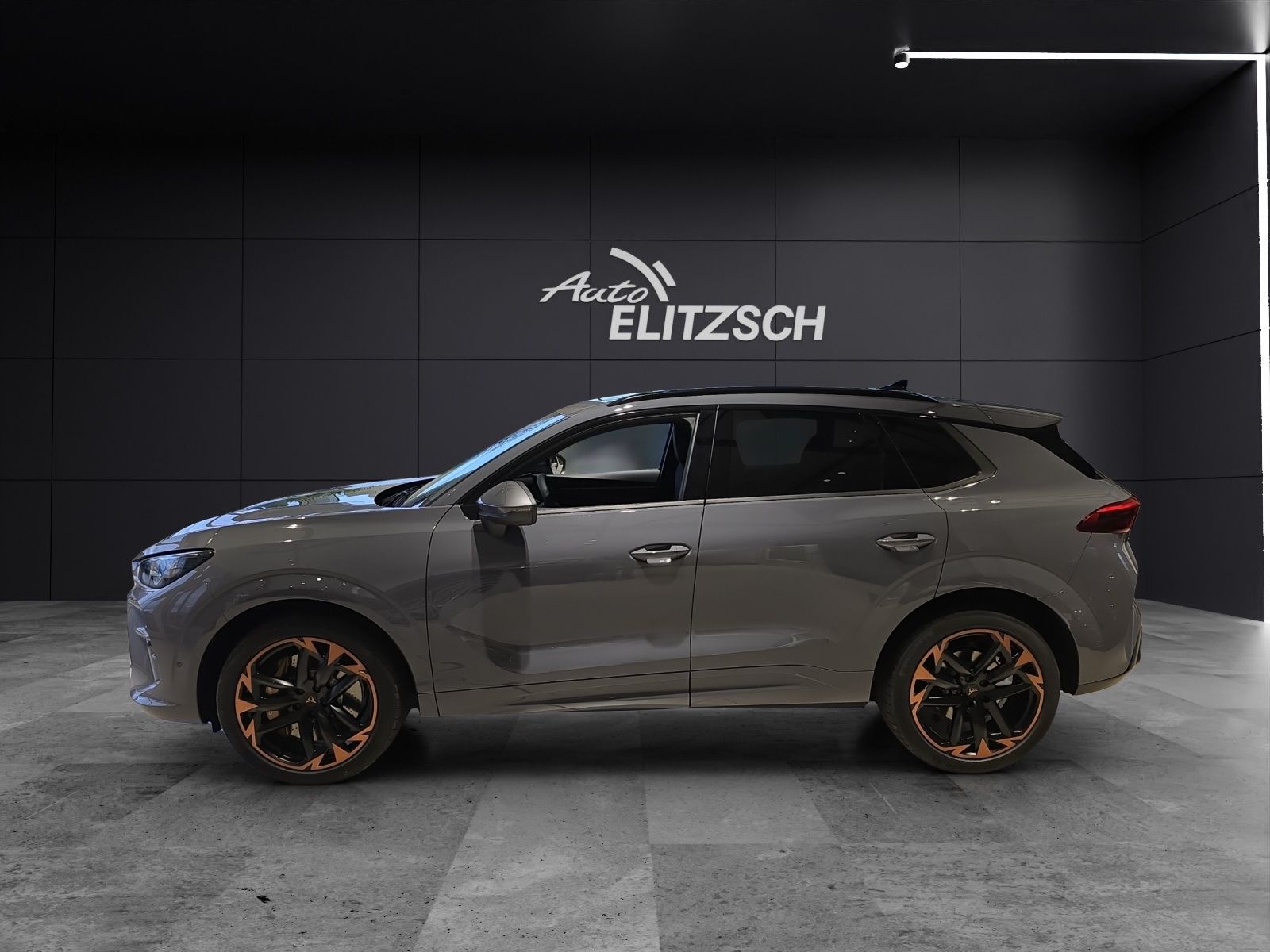 Fahrzeugabbildung CUPRA Terramar 2.0 TSI DSG 4Drive America's Cup Limite