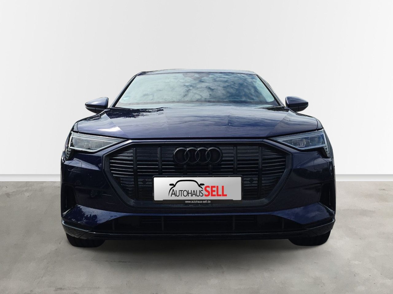 Fahrzeugabbildung Audi e-tron advanced 55 quattro AHK HUD Matrix !NP 99