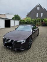Audi A5 Cabrio 2.0 TDI, Bj. 2013 sehr gut ... - Audi 80 mit Diesel-Antrieb: Cabrio
