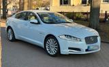 Jaguar XF 2.2l Diesel / Perlweiß / Rückfah... - Jaguar XF aus 2015