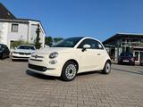 Fiat 500 Dolcevita 1.0 Hybrid *Pano Klimaauto PDC Alu - Fiat 500 Tageszulassungen