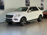 Mercedes-Benz ML 250 CDI BlueTec 4-MATIC*Bi-XENON*R.KAM*MEMORY - weiße Mercedes-Benz ML 250