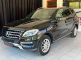 Mercedes-Benz ML 350 CDI 4Matic BlueTec |NAVI|PDC|BI-XENON|d - Mercedes-Benz ML 350: Cdi 4matic