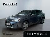 Lexus UX 300e *sofort*CarPlay*Tempomat*Klimaaut*LMF* - gebrauchte Lexus UX aus dem Jahr 2024