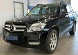 Mercedes-Benz GLK 250 CDI 4Matic *1.Hand*MB-Scheckheft*Xenon* - Mercedes-Benz GLK 250 Gebrauchtwagen