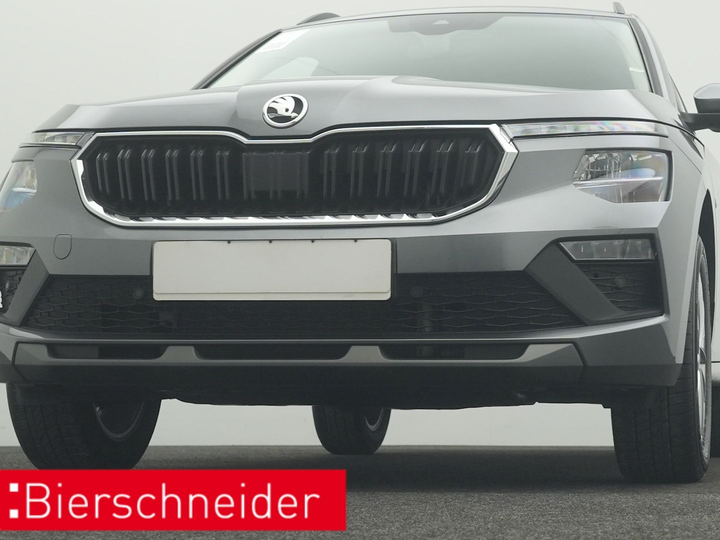 Skoda Kamiq - Bild 31