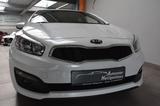 Kia Ceed 1.6 Dream Team Navi Kamera Sitzhz Tempo AHK - Kia Gebrauchtwagen in Düsseldorf