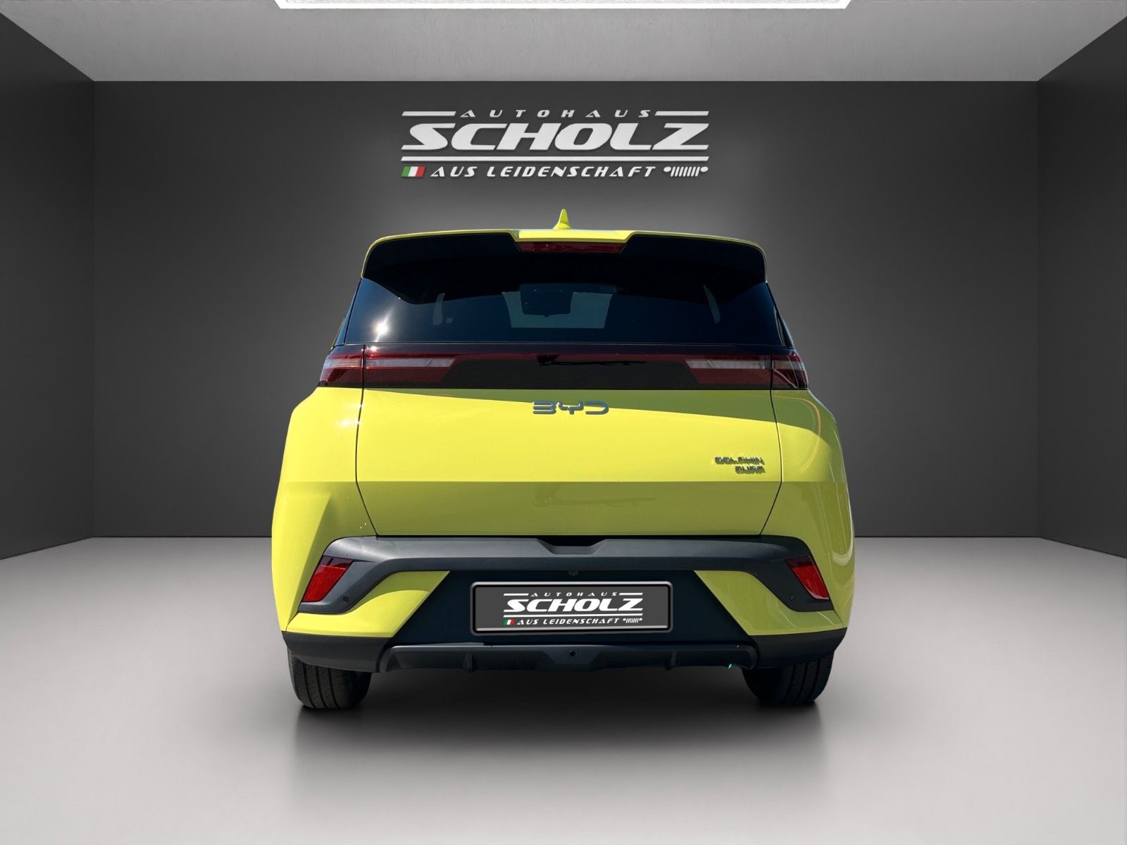BYD DOLPHIN SURF