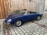 Alfa Romeo Spider 1750 Duetto, Rundheck, H-Nummer!!! - Alfa Romeo Spider Oldtimer