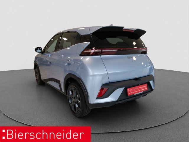 BYD DOLPHIN SURF