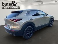 Mazda CX-30 - Vorschau Bild 3