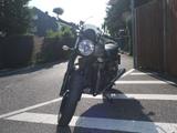 Triumph Speed Twin 900 , Heizgriffe, Sitzbank und mehr.. - TRIUMPH SPEED TWIN 900