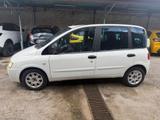 Fiat Multipla 1.9 MJT Dynamic VAN - Fiat Multipla Dynamic mit Diesel-Antrieb