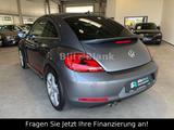 Volkswagen Beetle Club BMT Kamera PDC NAVI SHZ - Volkswagen Beetle mit Benzin-Antrieb: Limousine