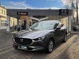 Mazda CX-30 L SKYACTIV-G 2.0 M Hybrid 6GS AL-SELECTION - Mazda CX-30 aus 2019