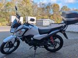 Honda CBF 125 - HONDA WEIß CBF 125