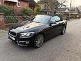 BMW 220i Cabrio Luxury Line - top Zustand - 8 x Alu
