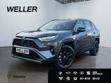 Toyota RAV 4 2.5 4x2 Hybrid Style Selection *ACC*360*JB - Toyota RAV 4 Gebrauchtwagen in Münster