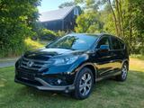 Honda CR-V Executive 4WD Automatik*1.Hand*Garantie* - Honda CR-V Gebrauchtwagen