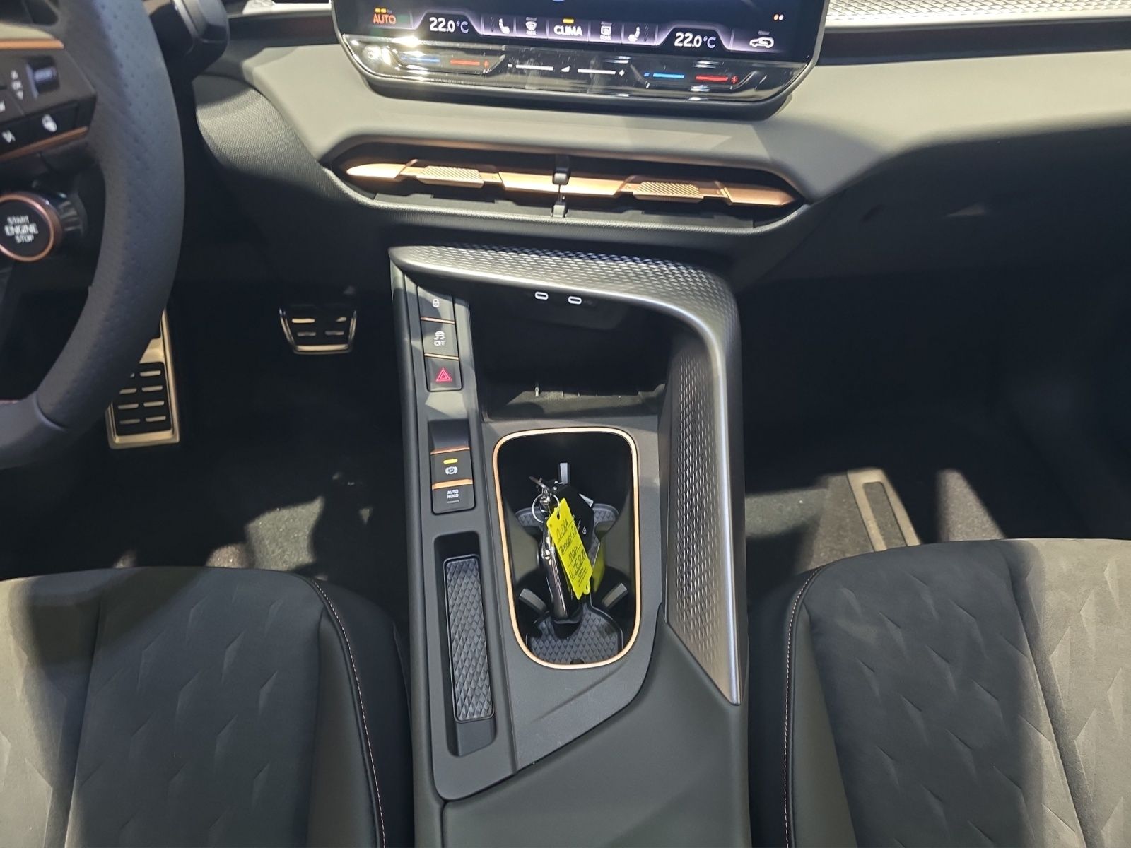Fahrzeugabbildung CUPRA Terramar 2.0 TSI DSG 4Drive America's Cup Limite
