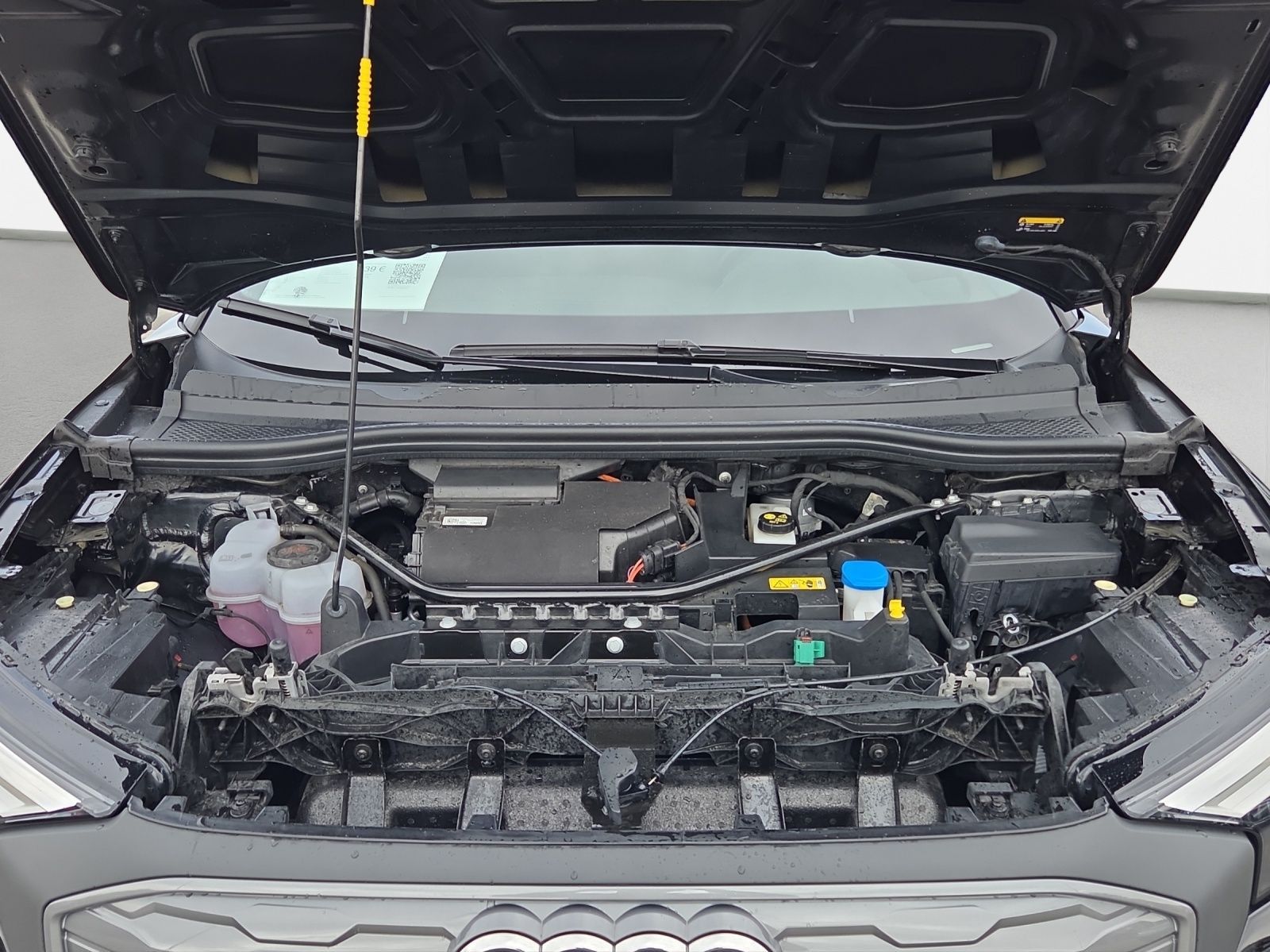 Audi Q4 e-tron - Bild 19