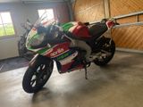 Aprilia RS GP Replica  - Offers matching your search criteria