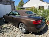 Audi A 5 Cabriolet - Audi Cabriolet: Allradantrieb