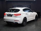 Maserati Levante - gebrauchte Maserati SUV & Geländewagen