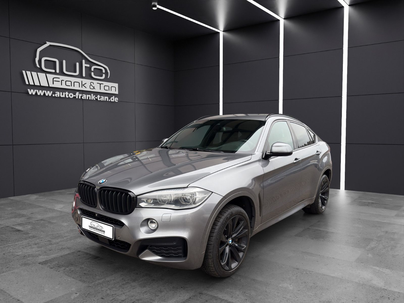 Fahrzeugabbildung BMW X6 xDrive 50 i/Msport/H&K/Head-UP/Rkü/Export