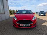 Ford Fiesta Trend KLIMA SHZ FRONTHEIZUNG - Ford Fiesta: Fr