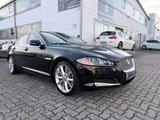 Jaguar XF 5.0 L V8 Kompressor XFR - Jaguar: 5.0