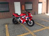 Triumph Daytona 955i - TRIUMPH 955 DAYTONA